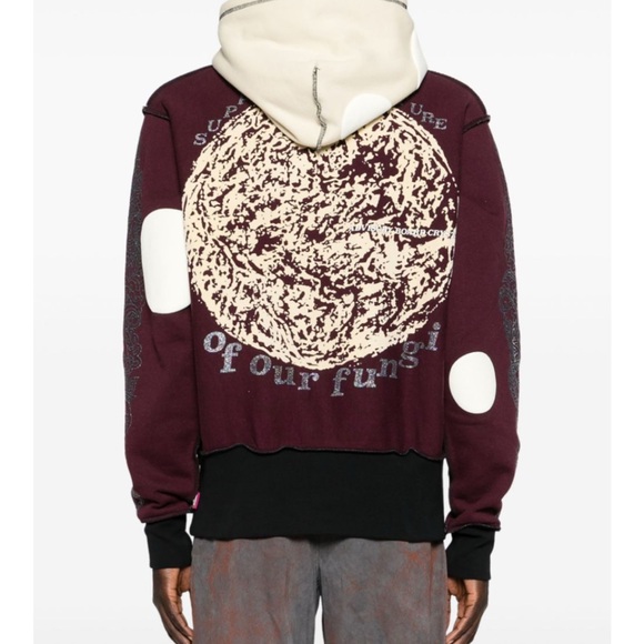 Advisory Board Crystals Planet Saving Information Fungi - Picture 5 of 8